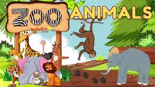 Zoo Animals | Learning Video | Kindergarten Lesson