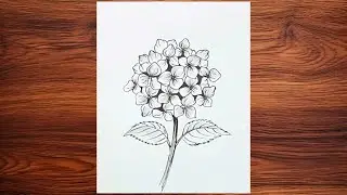 How to draw flower hydrangea | easy drawing ideas for beginners