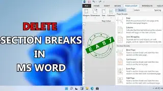 How to Delete Section Break in Word | Microsoft Word Tutorial (2023)