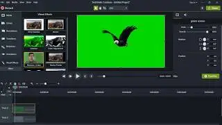 How to Remove Green Screen Perfectly with Camtasia || part 19