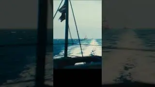 Viewport vs. Render 