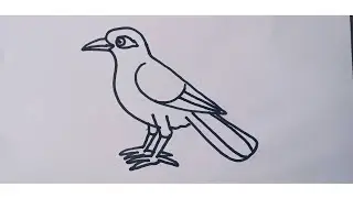 How to draw a Myna || Bird myna drawing step by step || Myna drawing tutorial.