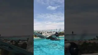 Corsair Takes Off Firing Guns!