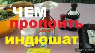 Лучшая Пропойка Птицы/Пропойка Для Индюшат и Цыплят/Чем Пропоить Индюшат