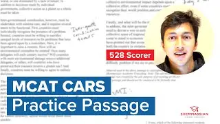 528 Scorer Leads MCAT CARS Passage Walkthrough | High-Yield Strategies