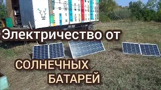 Оборудование пасеки. Пчеловодство в полевых условиях.