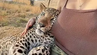 When Animals Show Affection in the Most Tenderly Ways | Best Animal Compilation 🥰