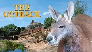 Tour of The Outback at ZSL London Zoo