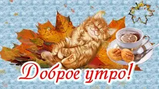 ☕️ С Добрым Осенним Утром И Хорошим Днем! 🍁Доброе Утречко!