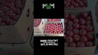 МММщиком быть модно и выгодно !!!