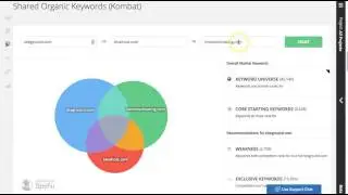 Using SpyFy for Competitive Research in SEO Projects