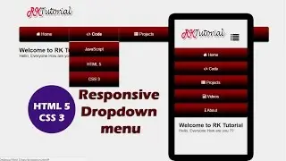 HTML 5 CSS 3 Responsive Drop down menu