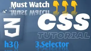 CSS TUTORIAL FOR BEGINNER'S: All You Need To Know About Selectors