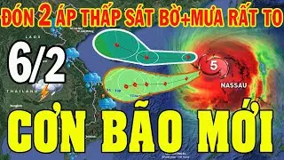 Tin bão mới nhất | Dự báo thời tiết hôm nay và ngày mai 6/2/2025 | dự báo thời tiết 3 ngày tới