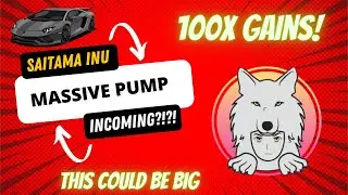 IS SAITAMA INU COIN THE NEW SHIBA INU? EXPERTS THINK SO! saitama price prediction