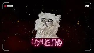 Чучело | Троллинг сбербанки