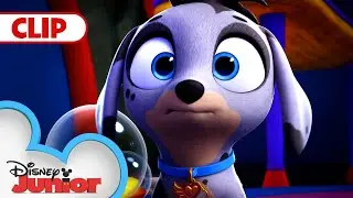 Super-Duper Switcheroo | T.O.T.S. | @disneyjunior