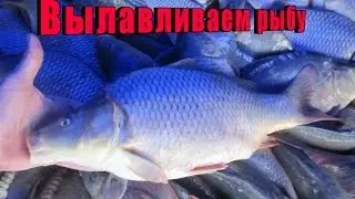 Рыбалка