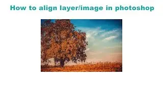 How to align layer to artboard  in Photoshop