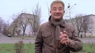 Як працюють міські та сільські програми підтримки ОСББ?