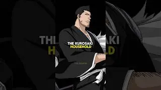 Why didn't Rukia recognize Isshin? 