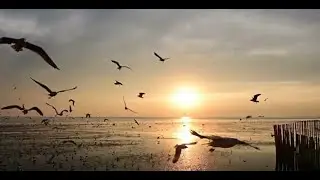Социальный ролик  г. Екатеринбург