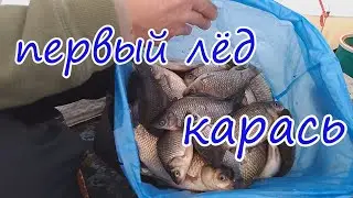 Раздача КАРАСЕЙ по первому льду #карась