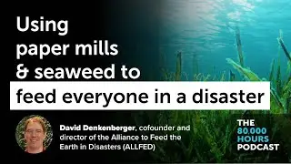 Using paper mills and seaweed to feed everyone in a catastrophe | David Denkenberger (2021)