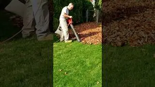 Less leaf bags! Toro blower/vac makes easy work of Fall cleanup. #leafvac #lawncare #fallcleanup