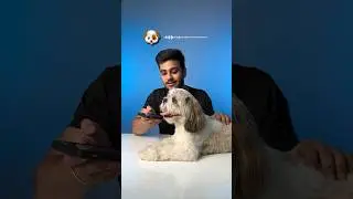 Testing Human to Dog Translator App