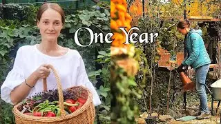 One Year in My Vegetable Garden