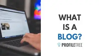 What Is A Blog? What Is a Blogger?