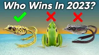 Top 5 Topwater Frogs in 2024 | Reviews, Prices & Where to Buy