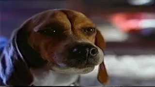 Cats & Dogs: Mr. Tinkles's Defeat (2001) (VHS Capture)