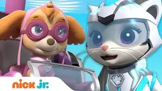 PAW Patrol & Cat Pack Rescue a Construction Worker! w/ Skye & Rory | Nick Jr.