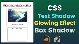 CSS Box Shadow Tutorial | CSS Text Shadow Tutorial | CSS Drop Shadow Glowing Effects