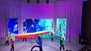 Флаг-шоу