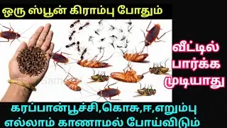 இனி வீட்டில் கரப்பான் பூச்சி, ஈ, எறும்பு, கொசு தொல்லை இல்லை இயற்கை வழி | kitchen tips #tips