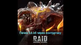 Пачка на 5 и 6 клан босса через контратаку| RAID: Shadow Legends