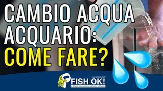 💦 Cambio Acqua in Acquario: come fare?