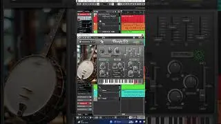 Realistic Banjo Instrument Plugin - (MAC PC VST, VST3, AU) #cubase #vstplugins