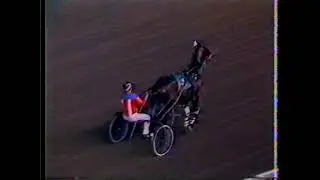 1984 Meadowlands - Pershing Square & Thomas Haughton