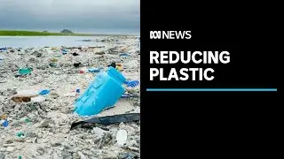 Major companies sign radical deal to drastically reduce plastic waste by 2025 | ABC News