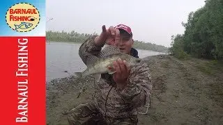 ОБСКАЯ ПРОТОКА.РЫБАЛКА НА ОБИ.СУДАК.