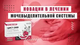 Цист ОФФ от завода Витаукт – зачем нужен и как применять