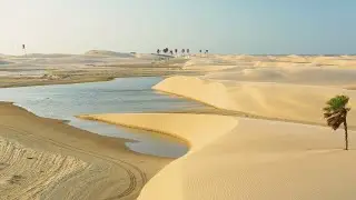 Desert | Dunes | Sand | Travel | Free HD Videos - No Copyright footage