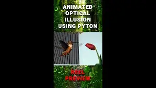 Animated Optical Illusion in Google Colab with Python