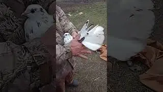 17 февраля 2024 г.