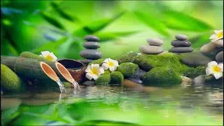 Relaxing Music 24/7 || Nature Soul, Healing Music, Meditation Music, Spa Music, Sleep, Study Music