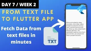 #7 Fetch data from txt File in NO TIME ! | Flutter 21 Days Challenge | COVID-19